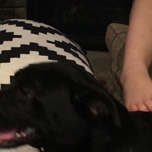 Meet your Posher, Gwen